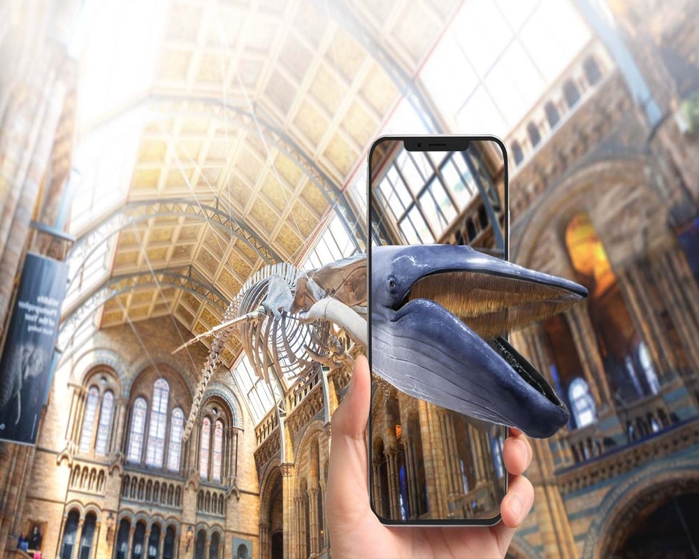 WhatsApp Image 2025-02-19 at 14.21.03 (1)